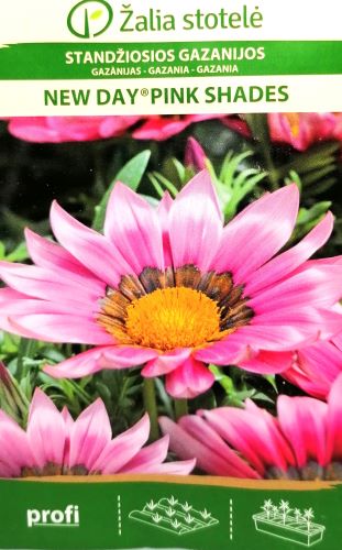 Gazania New Day Pink Shades Seeds